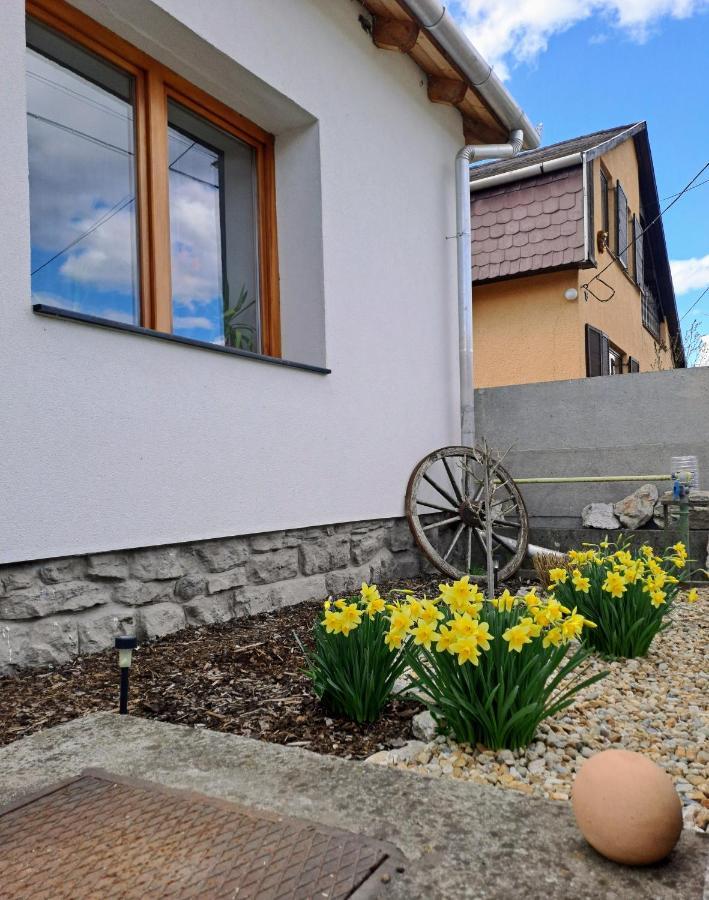 No°21 Apartman Szilvásvárad المظهر الخارجي الصورة