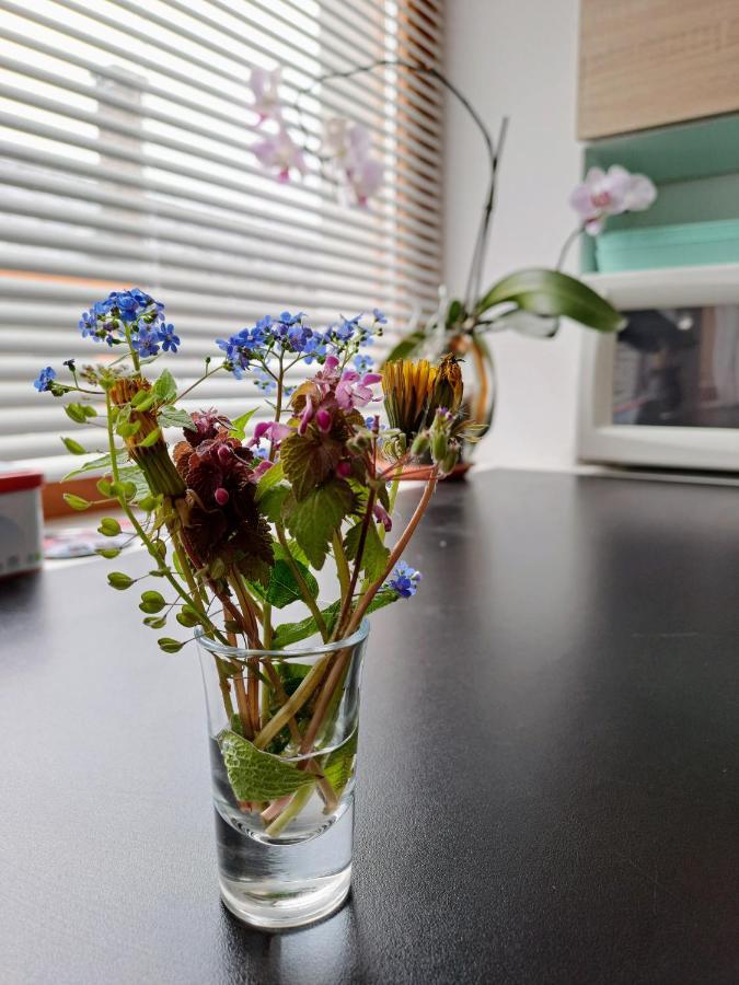 No°21 Apartman Szilvásvárad المظهر الخارجي الصورة